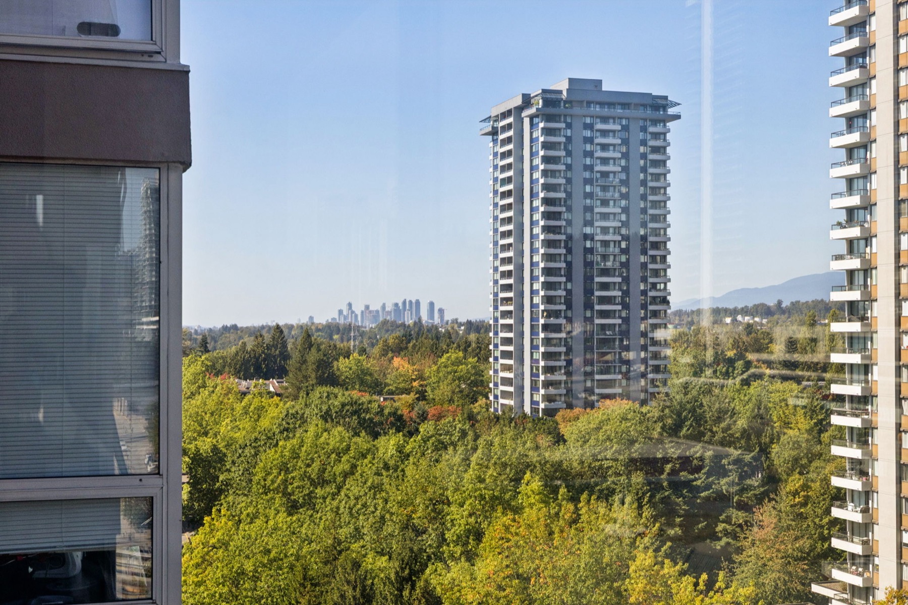 Over the trees to a tower and the downtown skyline far off.